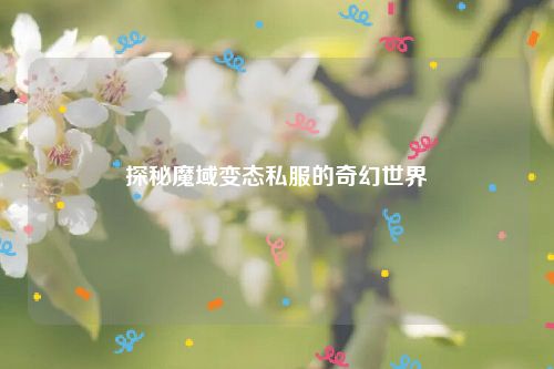探秘魔域变态私服的奇幻世界