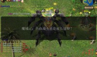 魔域私服发布网有啥用？整合资源助玩家找服，却也存在风险